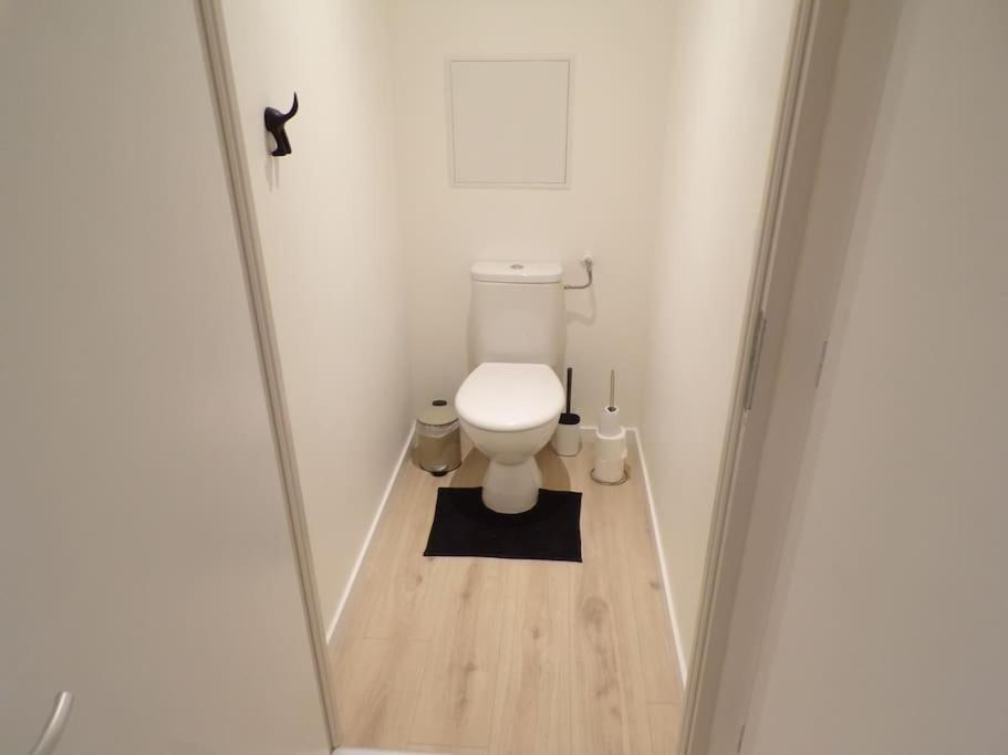 Appartement 2/4 Pers, 44m2, Hypercentre.
